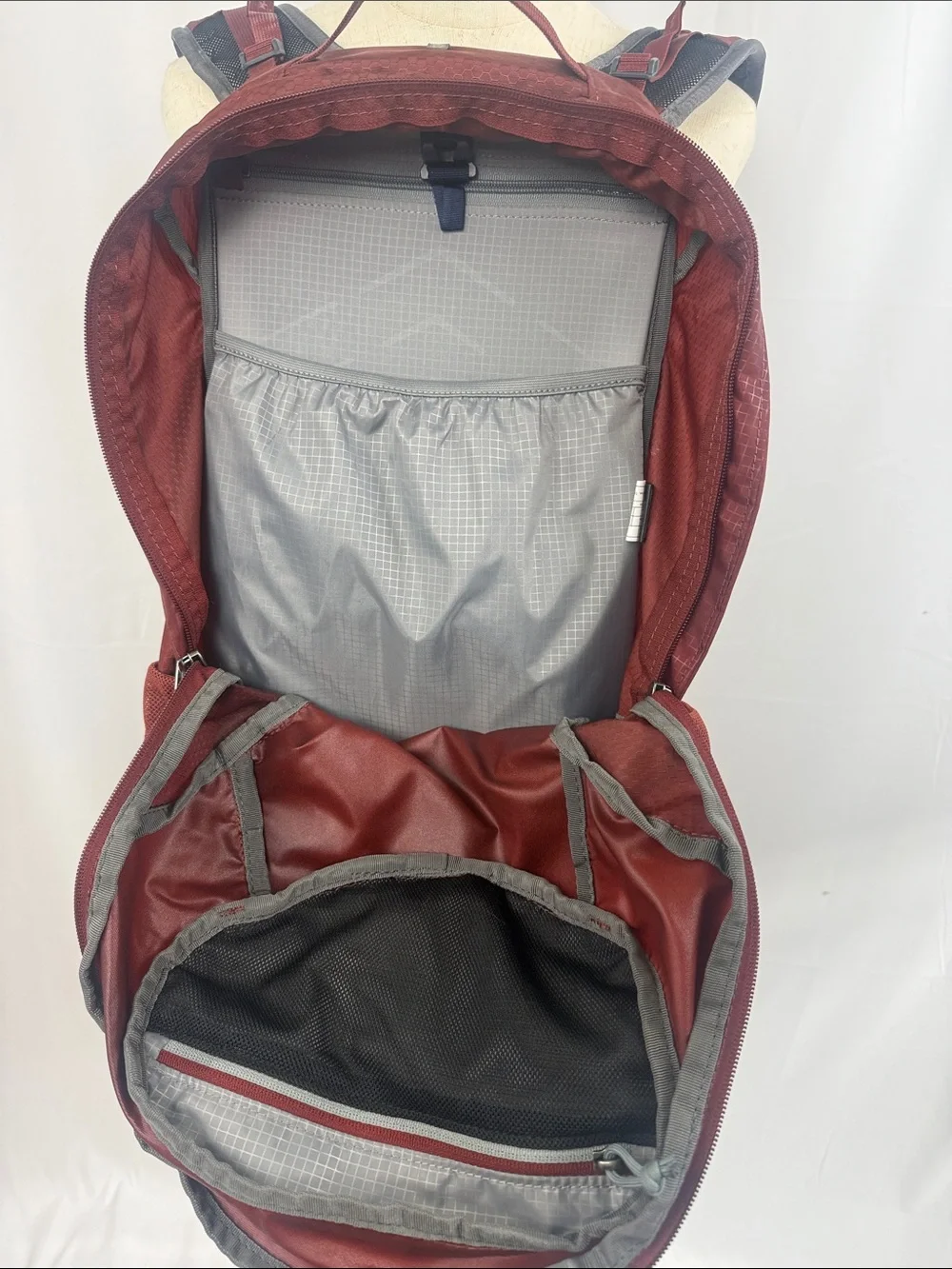 Gregory Citro Daypack Backpack in Deep Brick Red - Picture 4 of 6